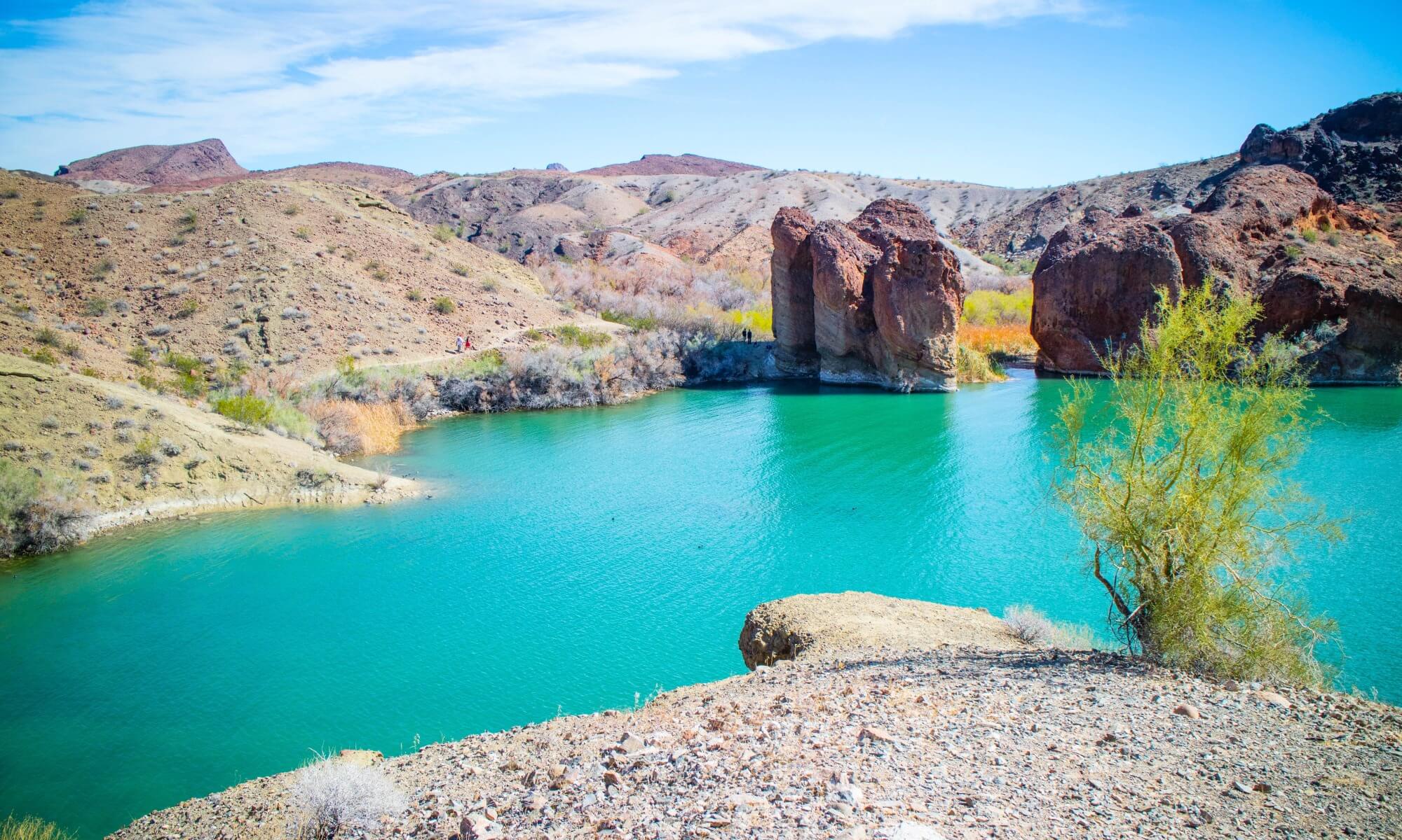 Arizona's Water Mat Unearthing the Top Spots for SUP Yoga!